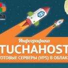 Хостинг серверов TuchaHost: инфографика