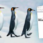 Пингвины лезут в окна (RDP-клиент Remmina для доступа к Windows из Ubuntu)