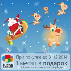 Предновогодняя акция "Плюс один"