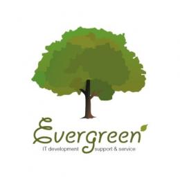 Evergreen IT development